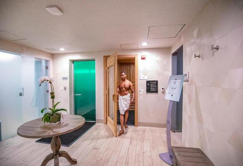 سوئیت مدیریتی 2 خوابه, Level Chicago   Old Town