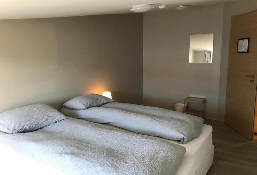 اتاق اکونومی, Blue Viking Guesthouse