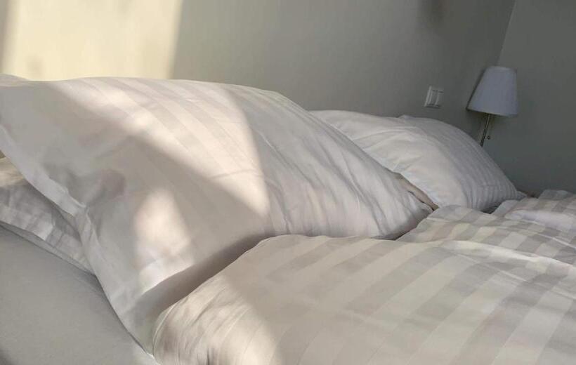 اتاق استاندارد, Blue Viking Guesthouse