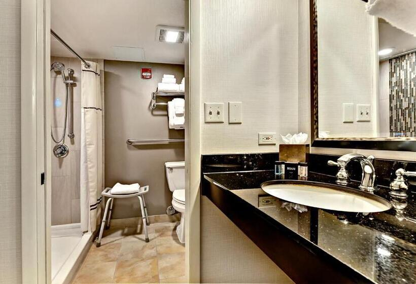 اتاق استاندارد با تخت بزرگ برای معلولان, 43 Boise