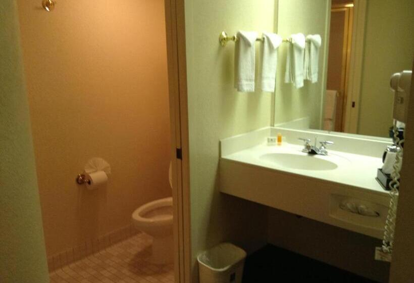 Quarto deluxe, Econo Lodge Denver International Airport