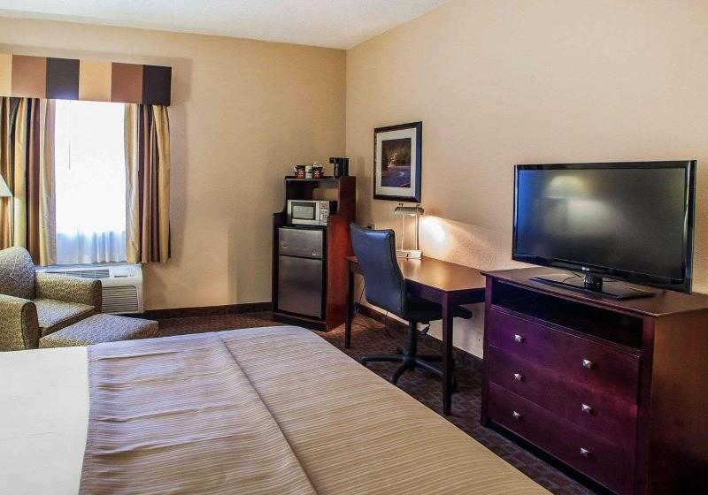 اتاق استاندارد با تخت بزرگ, Quality Inn & Suites