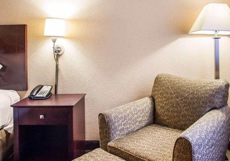 اتاق استاندارد با تخت بزرگ, Quality Inn & Suites