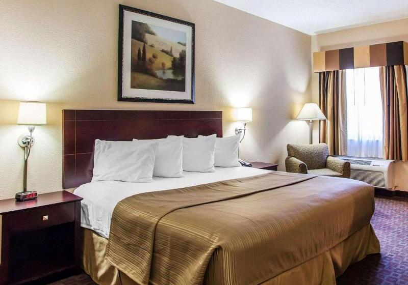 اتاق استاندارد با تخت بزرگ, Quality Inn & Suites