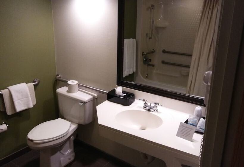 اتاق استاندارد با 2 تخت دوبل, Econo Lodge Amarillo East