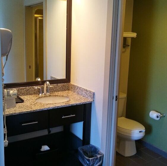 اتاق استاندارد با 2 تخت دوبل, Econo Lodge Amarillo East