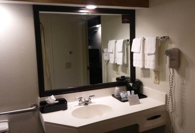 اتاق استاندارد با 2 تخت دوبل, Econo Lodge Amarillo East