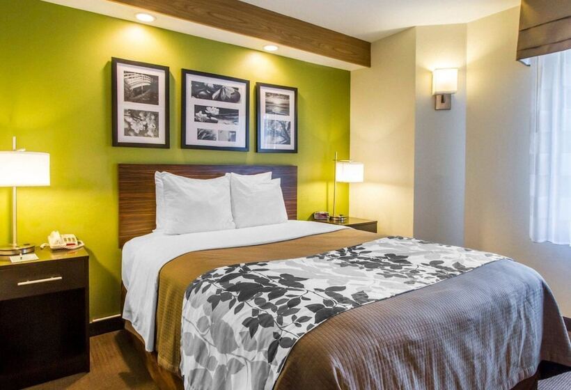 اتاق استاندارد با 2 تخت دوبل, Econo Lodge Amarillo East