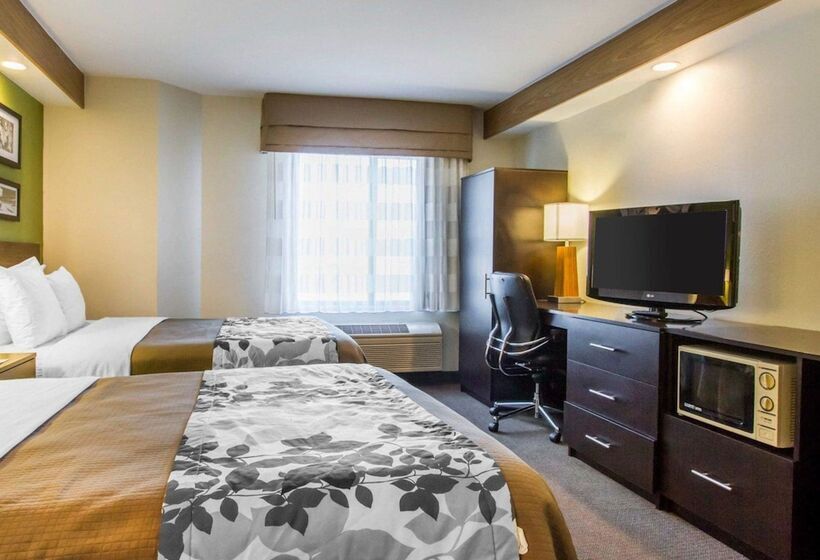 اتاق استاندارد با 2 تخت دوبل, Econo Lodge Amarillo East