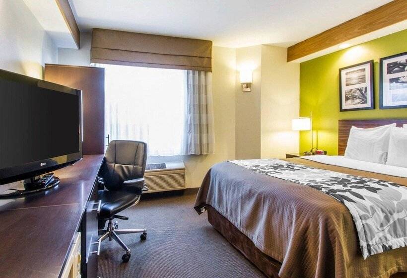 اتاق استاندارد با 2 تخت دوبل, Econo Lodge Amarillo East