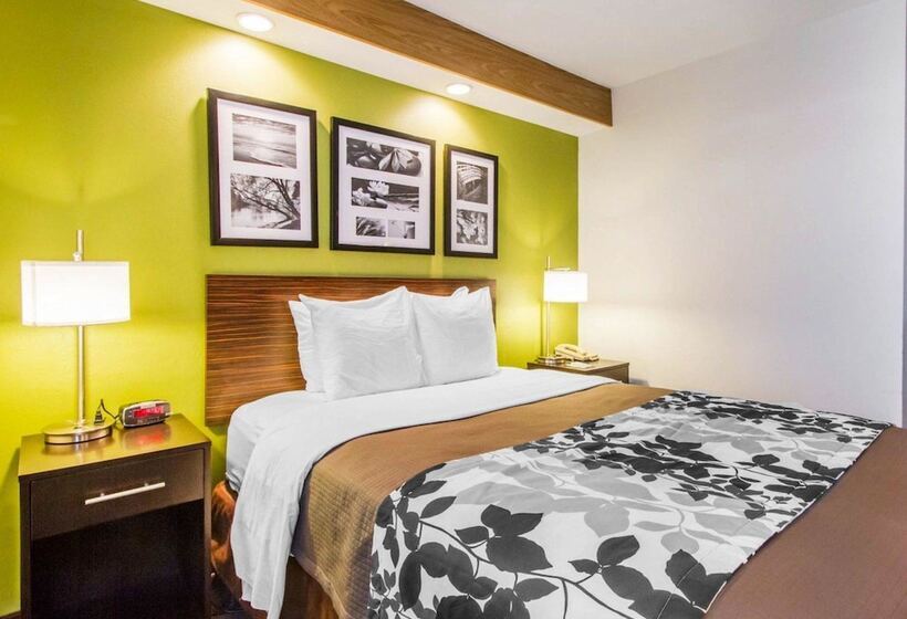 اتاق استاندارد با 2 تخت دوبل, Econo Lodge Amarillo East