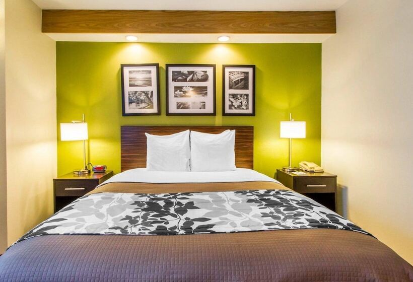 اتاق استاندارد با 2 تخت دوبل, Econo Lodge Amarillo East
