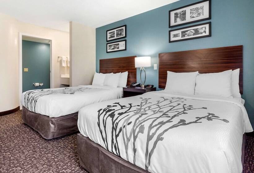 Quarto Standard 2 Camas Casal, Sleep Inn And Suites Johnson City