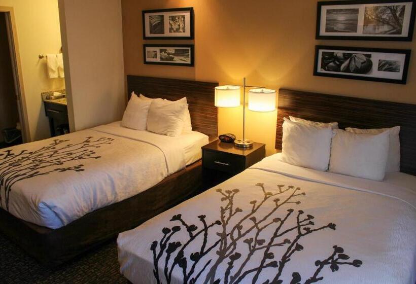 اتاق استاندارد با 2 تخت دوبل, Sleep Inn