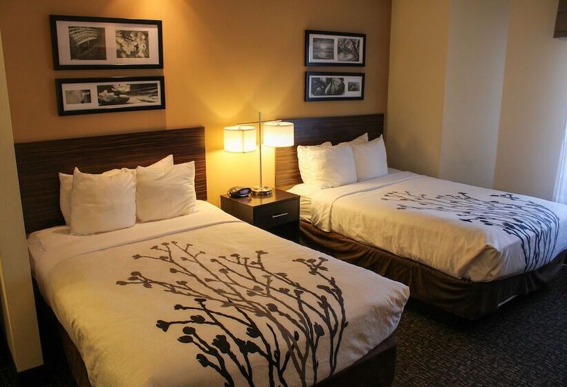 اتاق استاندارد با 2 تخت دوبل, Sleep Inn