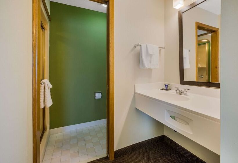 اتاق استاندارد با 2 تخت دوبل, Sleep Inn