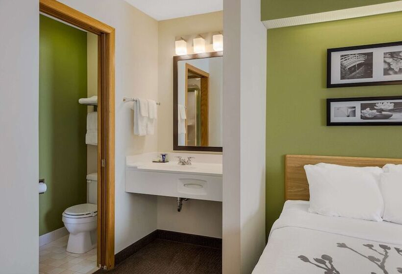 اتاق استاندارد با 2 تخت دوبل, Sleep Inn