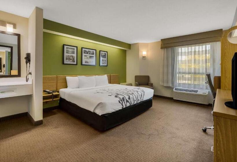 اتاق استاندارد با تخت بزرگ, Sleep Inn