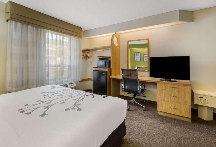 اتاق استاندارد با تخت بزرگ برای معلولان, Sleep Inn