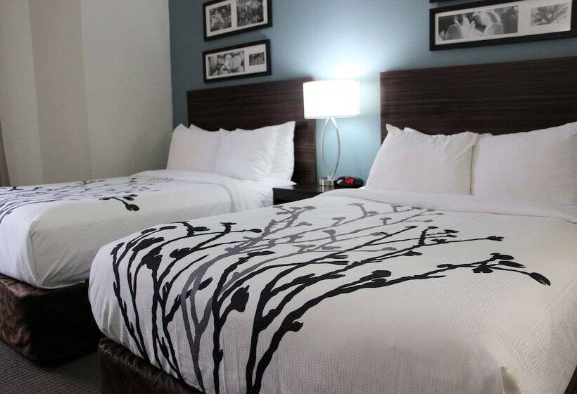 غرفه قياسيه سريرين مزدوجين, Sleep Inn Chattanooga