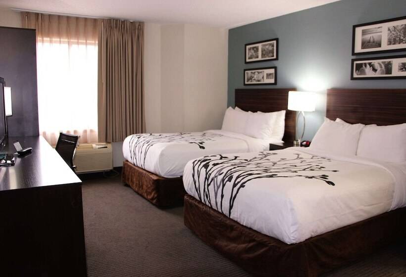 غرفه قياسيه سريرين مزدوجين, Sleep Inn Chattanooga