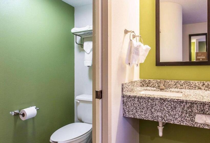 اتاق استاندارد با تخت بزرگ, Sleep Inn Columbia