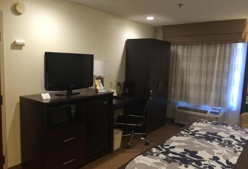 ２ダブルベッドのスタンダードルーム, Sleep Inn Columbia