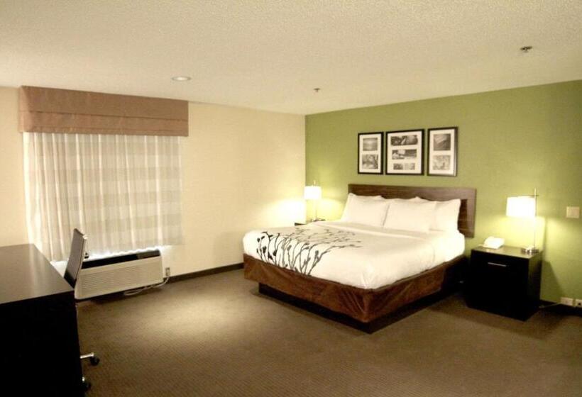 Chambre Standard Lit King Size, Sleep Inn