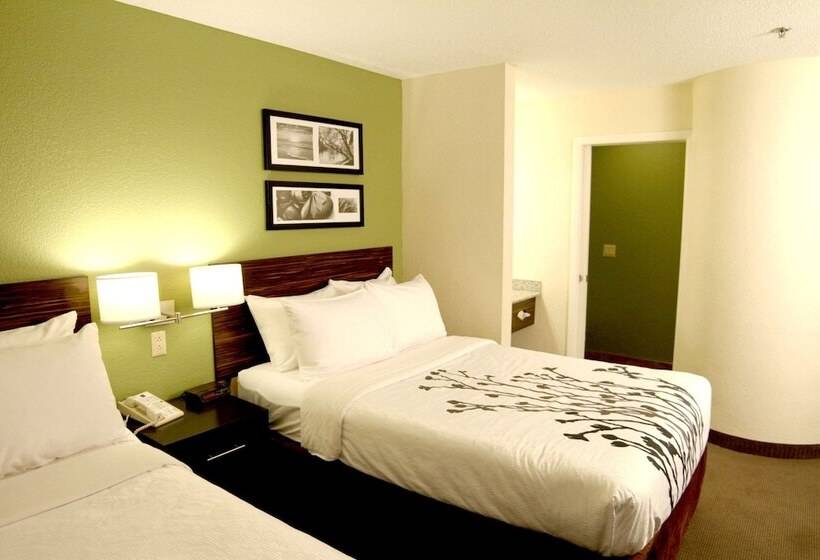 اتاق استاندارد با 2 تخت دوبل, Sleep Inn Sandusky