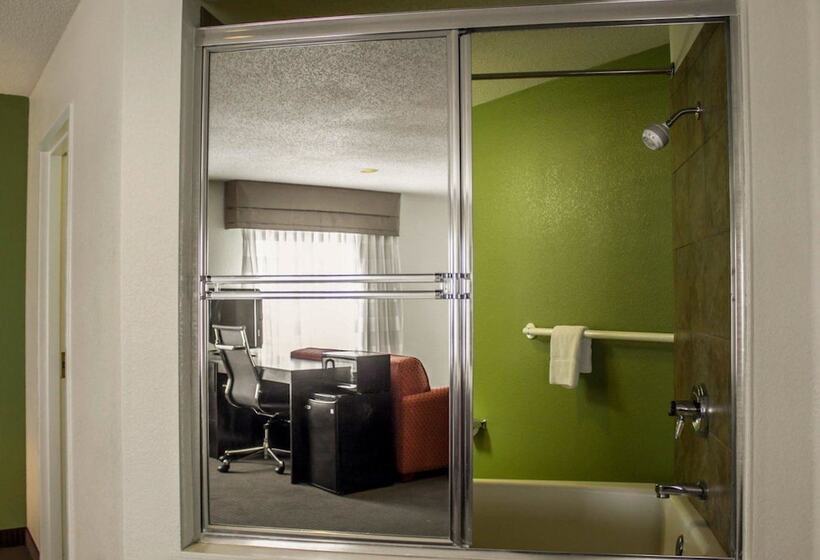 اتاق استاندارد با 2 تخت دوبل, Sleep Inn Sandusky