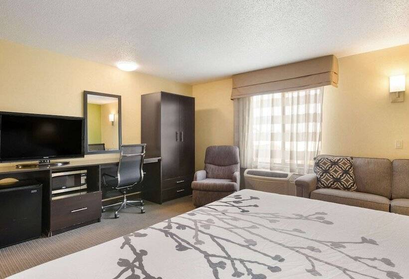 اتاق استاندارد با تخت دوبل, Sleep Inn & Suites