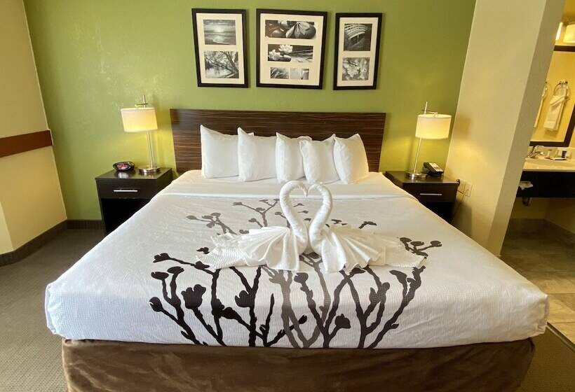 اتاق استاندارد با تخت دوبل, Sleep Inn & Suites