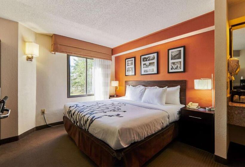 اتاق استاندارد, Bob Hotels Tallahassee   Boutique On Budget