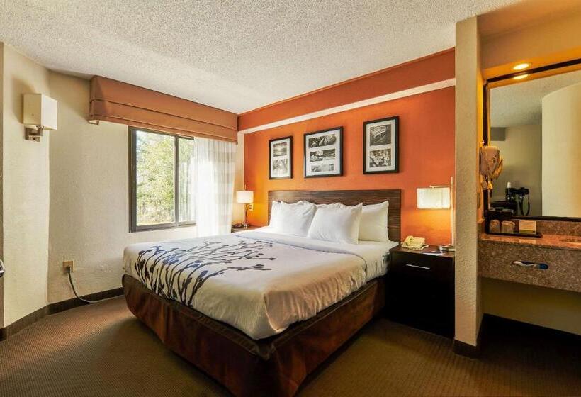 اتاق استاندارد با تخت بزرگ, Bob Hotels Tallahassee   Boutique On Budget