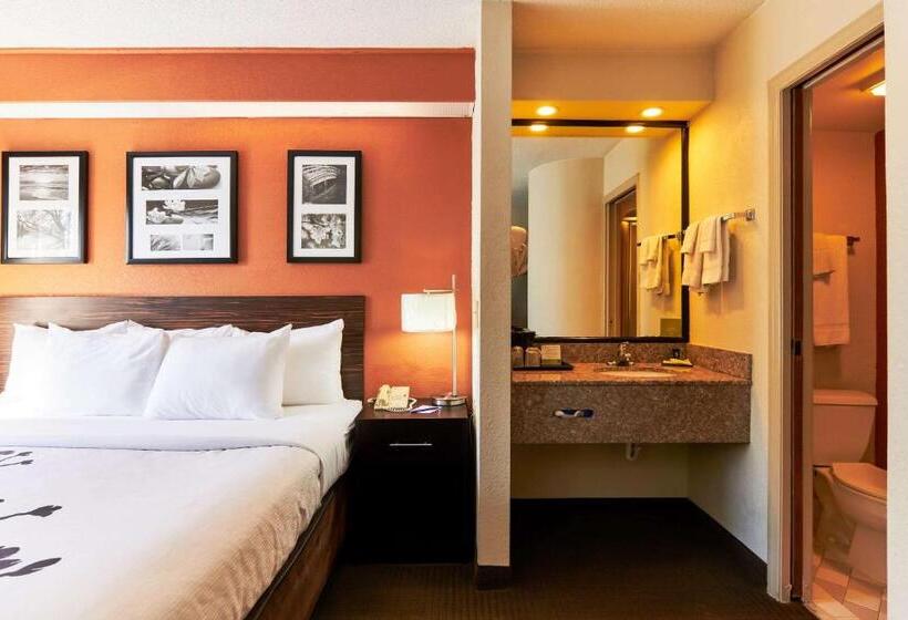 اتاق استاندارد با تخت بزرگ, Bob Hotels Tallahassee   Boutique On Budget