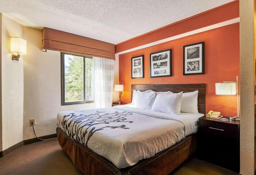 اتاق استاندارد برای معلولان, Bob Hotels Tallahassee   Boutique On Budget