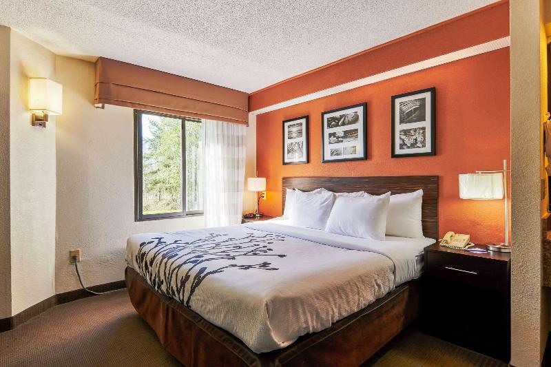 اتاق استاندارد با تخت بزرگ, Bob Hotels Tallahassee   Boutique On Budget