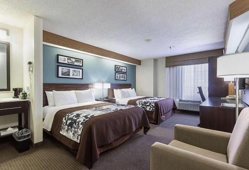 اتاق استاندارد, La Vista Inn