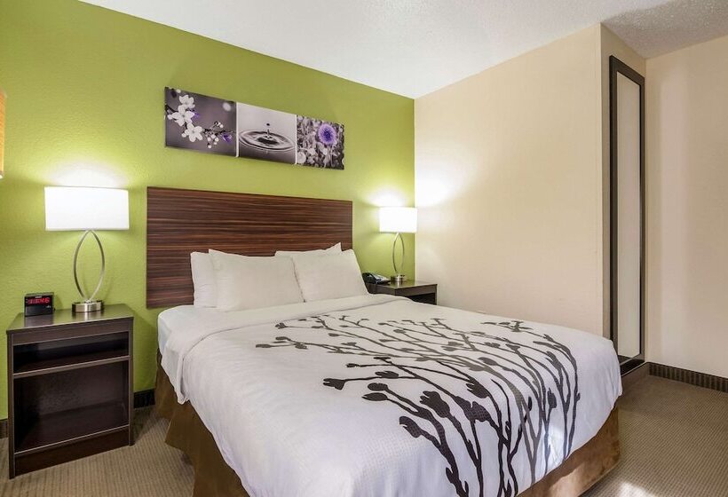 اتاق استاندارد با تخت دو نفره بزرگ برای معلولان, Sleep Inn Wytheville I77 And I81