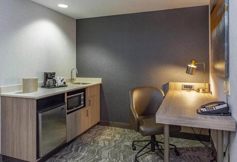 Suite Llit King, Springhill Suites Anchorage Midtown