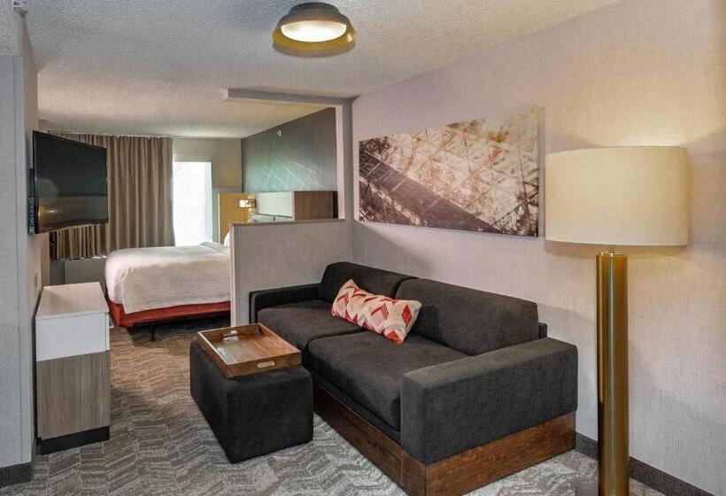 Suite Llit King, Springhill Suites Anchorage Midtown