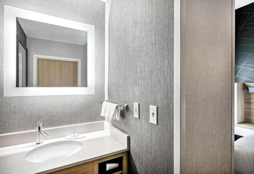 Suite Adapted for people with reduced mobility, Springhill Suites Anchorage Midtown