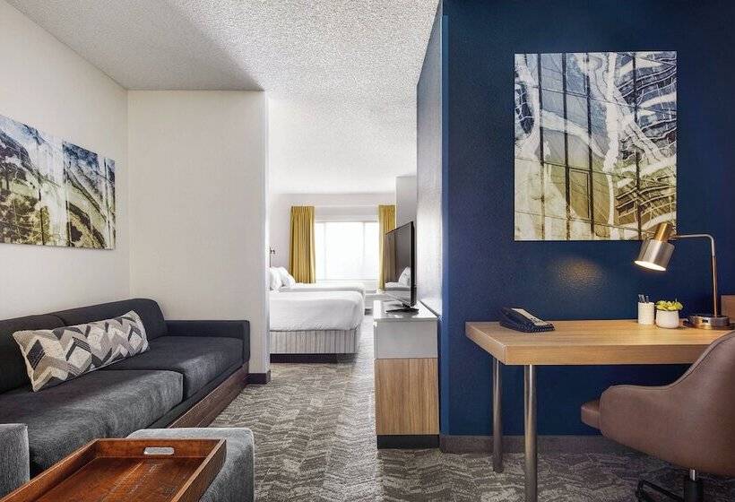 Standard Studio, Springhill Suites By Marriott Tempe At Arizona Mills Mall