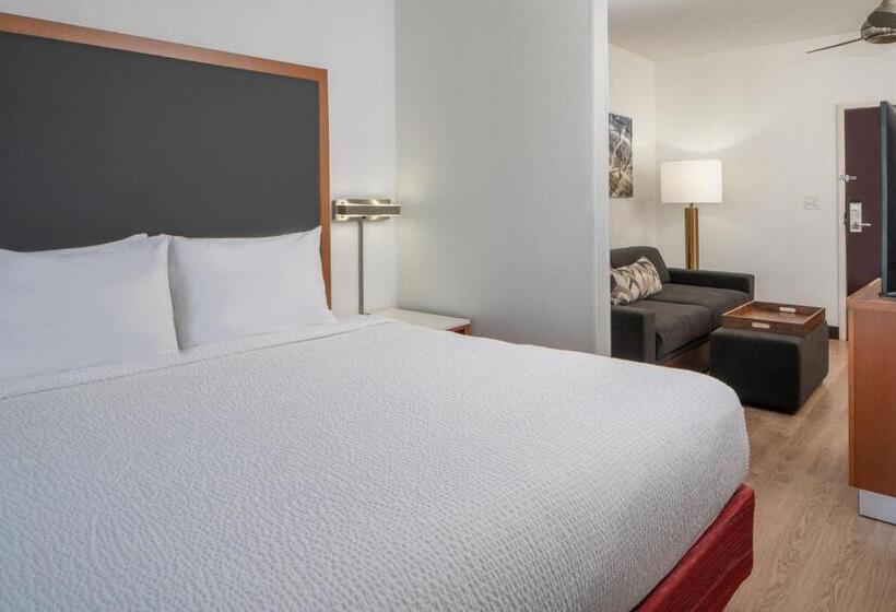 استودیو استاندارد با تخت کینگ, Springhill Suites By Marriott Charleston Riverview