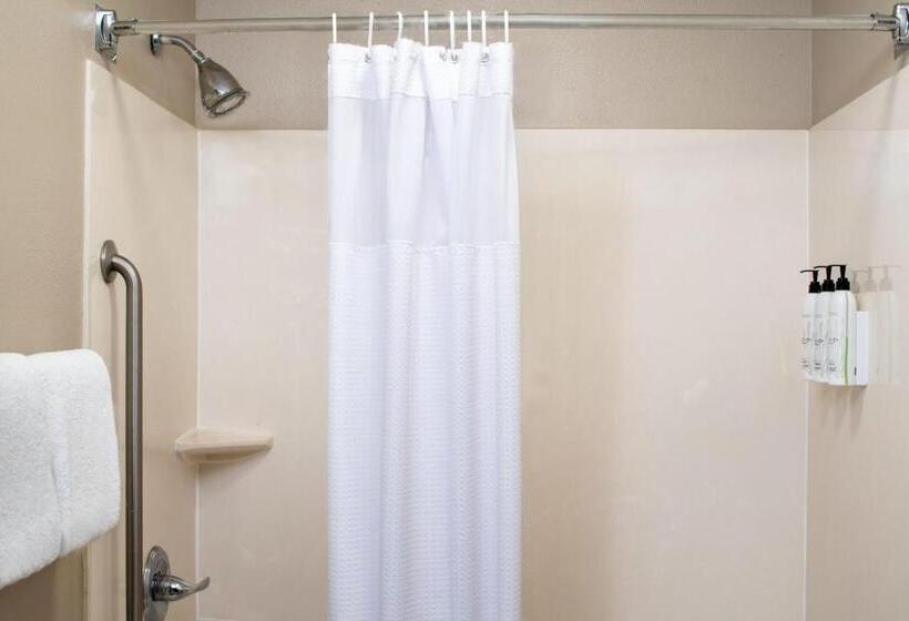 استودیوی استاندارد با تخت دو نفره بزرگ, Springhill Suites By Marriott Charleston Riverview