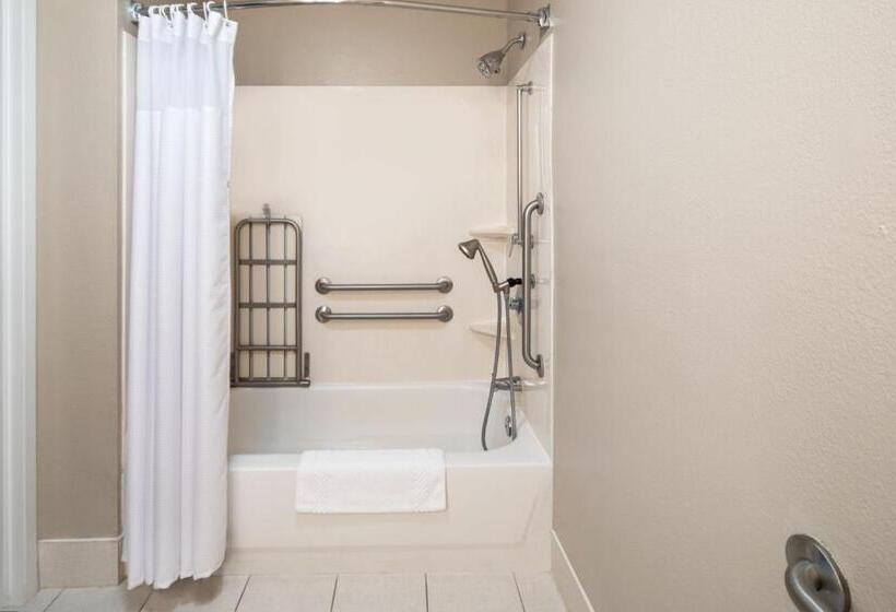استودیوی استاندارد با تخت دو نفره بزرگ, Springhill Suites By Marriott Charleston Riverview