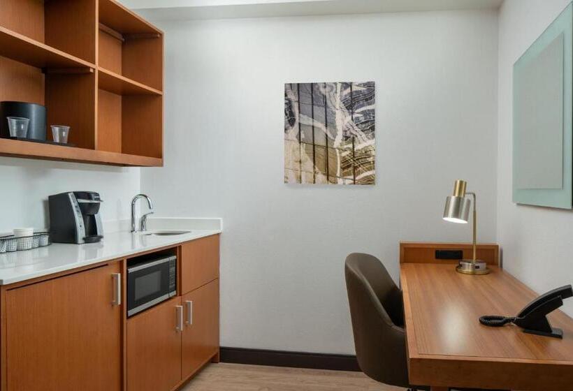 استودیوی استاندارد با تخت دو نفره بزرگ, Springhill Suites By Marriott Charleston Riverview