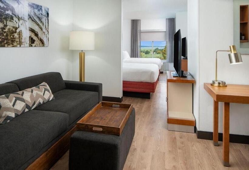 استودیوی استاندارد با تخت دو نفره بزرگ, Springhill Suites By Marriott Charleston Riverview