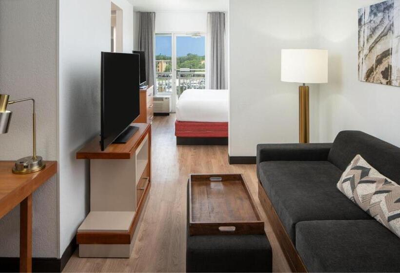 استودیو استاندارد با تخت کینگ, Springhill Suites By Marriott Charleston Riverview