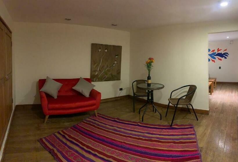اتاق سوپریور, Gaia House Hostel